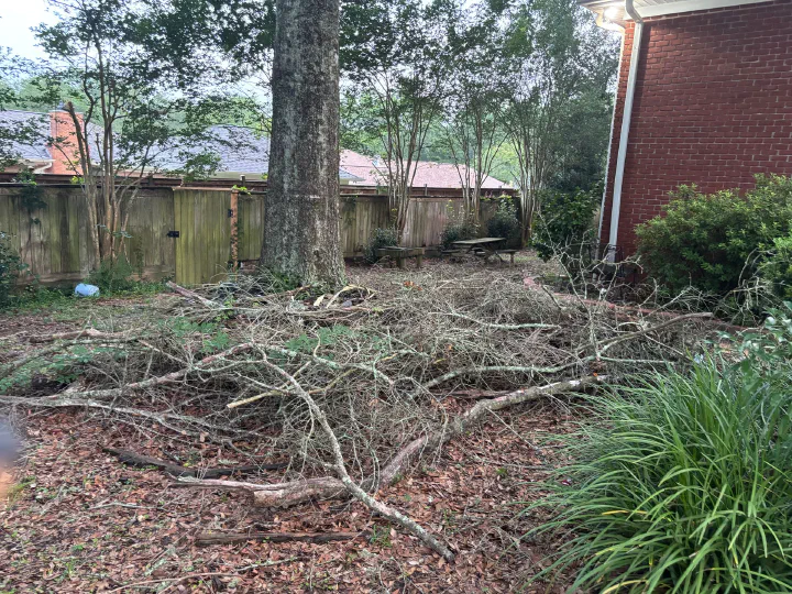 Fenced backyard before cleanup — fallen tree limbs and branches sprawled across the bed under a large shade tree, privacy fence behind, brick house wall at right