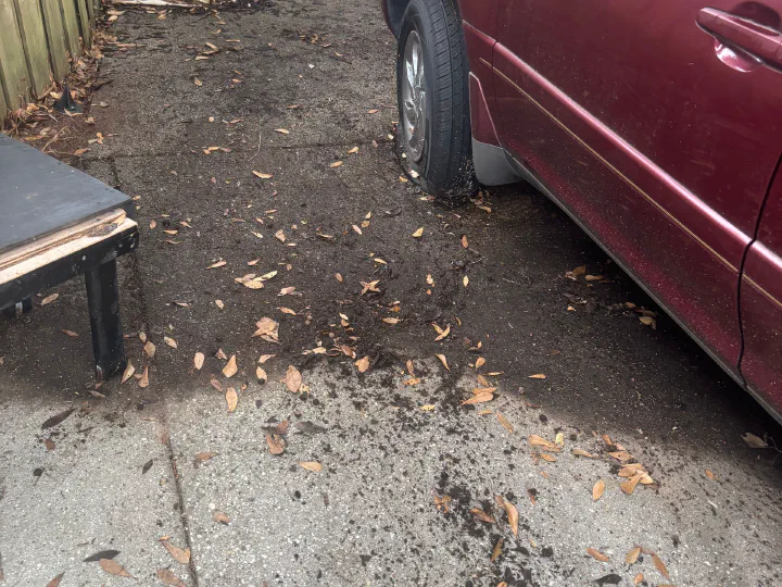 Same driveway and side strip cleared after cleanup, bare dirt strip and concrete drive visible with only a few scattered leaves remaining