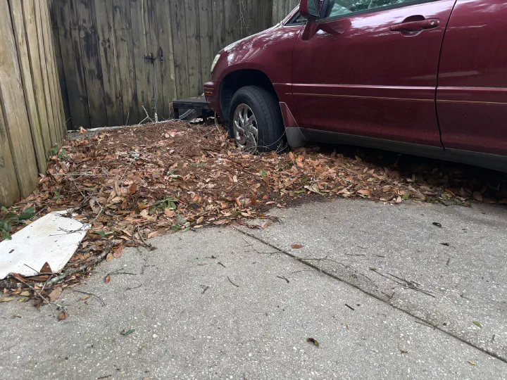 Driveway and side strip of the same property buried under fallen leaves and broken branches before cleanup, parked car at the curb