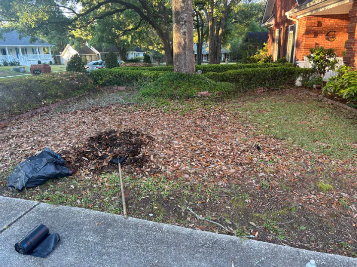 Front lawn buried under fallen leaves before cleanup, raked pile and trash bags staged on the sidewalk