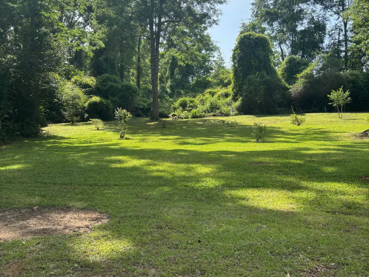 Same meadow lot after mowing — clean grass with shadow lines from the trees